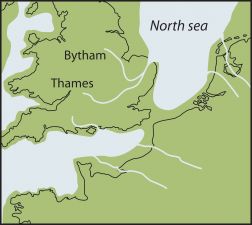 Research paleoanthropologist at The Natural History Museum, London; Author, Homo Britannicus?
