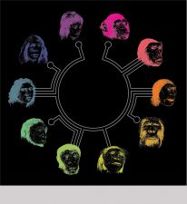 Archaeologist, University of Bradford; Author, The Artificial Ape