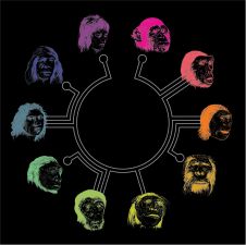 Archeologist, UNiversity of Bradford; Author, The Artificial Ape