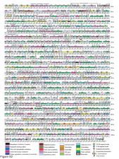 Genome Scientist, J. Craig Venter Institute; Author, A Life Decoded