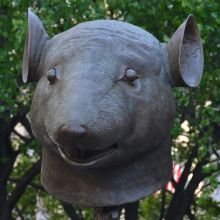 Rat