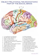 Psychiatrist; Clinical Assistant Professor of Psychiatry, NYU School of Medicine