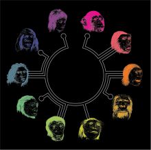 Archeologist, UNiversity of Bradford; Author, The Artificial Ape