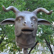 Ox