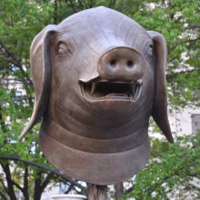 Pig